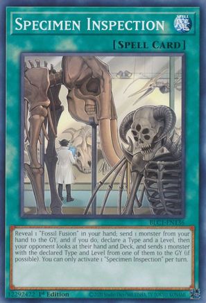 Specimen Inspection (BLC1-EN136) - Battles of Legend: Chapter 1 1st Edition - Premium Yugioh Single from Konami - Just $0.25! Shop now at Game Crave Tournament Store