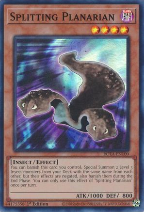 Splitting Planarian (ROTA-EN100) - Rage of the Abyss 1st Edition - Premium Yugioh Single from Konami - Just $0.25! Shop now at Game Crave Tournament Store