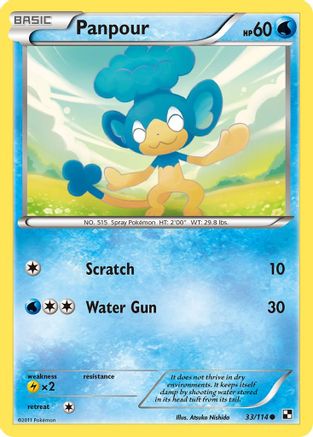 Panpour 33/114 - Black & White Reverse Holofoil