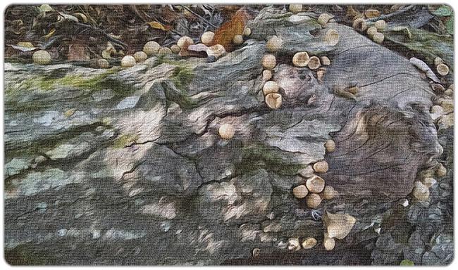Toadstool Playmat - Premium Playmat from Inked Gaming - Just $34.99! Shop now at Game Crave Tournament Store