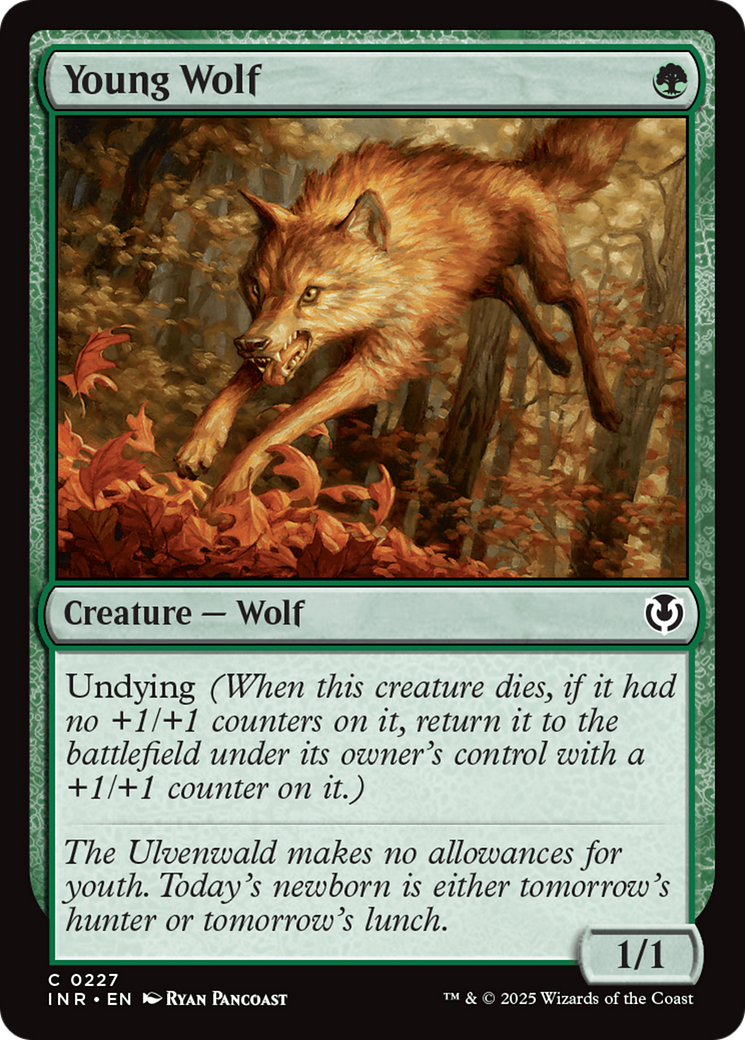 Young Wolf (-227) - Innistrad Remastered - Premium MTG Single from Wizards of the Coast - Just $0.25! Shop now at Game Crave Tournament Store