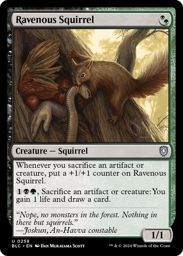 Ravenous Squirrel (BLC-258) - Bloomburrow Commander - Premium MTG Single from Wizards of the Coast - Just $0.25! Shop now at Game Crave Tournament Store