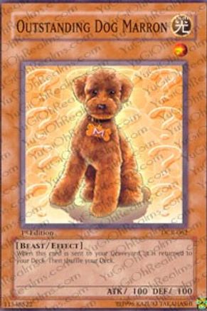 Outstanding Dog Marron (DCR-062) - Dark Crisis 1st Edition - Premium Yugioh Single from Konami - Just $0.91! Shop now at Game Crave Tournament Store