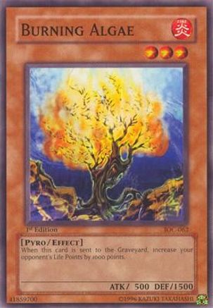 Burning Algae (IOC-062) - Invasion of Chaos Unlimited - Premium Yugioh Single from Konami - Just $0.25! Shop now at Game Crave Tournament Store