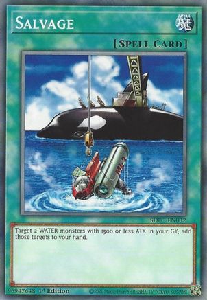 Salvage (SDFC-EN032) - Structure Deck: Freezing Chains 1st Edition - Premium Yugioh Single from Konami - Just $0.25! Shop now at Game Crave Tournament Store