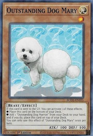 Outstanding Dog Mary (BODE-EN035) - Burst of Destiny 1st Edition - Premium Yugioh Single from Konami - Just $0.25! Shop now at Game Crave Tournament Store