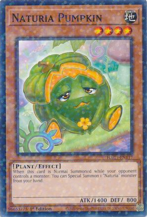 Naturia Pumpkin (Duel Terminal) (HAC1-EN117) - Hidden Arsenal: Chapter 1 1st Edition - Premium Yugioh Single from Konami - Just $0.36! Shop now at Game Crave Tournament Store