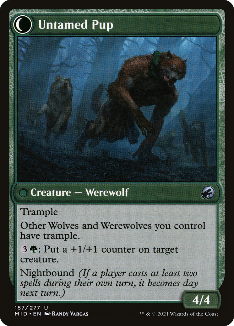 Hound Tamer // Untamed Pup (MID-187) - Innistrad: Midnight Hunt: (Double Faced Transform) Foil - Premium MTG Single from Wizards of the Coast - Just $0.08! Shop now at Game Crave Tournament Store