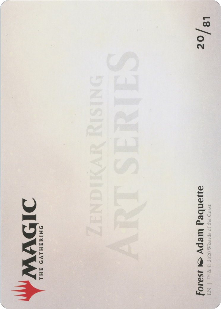 Forest // Forest (AZNR-020) - Zendikar Rising Art Series (Borderless) - Premium MTG Single from Wizards of the Coast - Just $0! Shop now at Game Crave Tournament Store