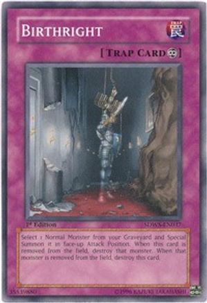 Birthright (SDWS-EN037) - Structure Deck: Warriors' Strike 1st Edition - Premium Yugioh Single from Konami - Just $0.25! Shop now at Game Crave Tournament Store