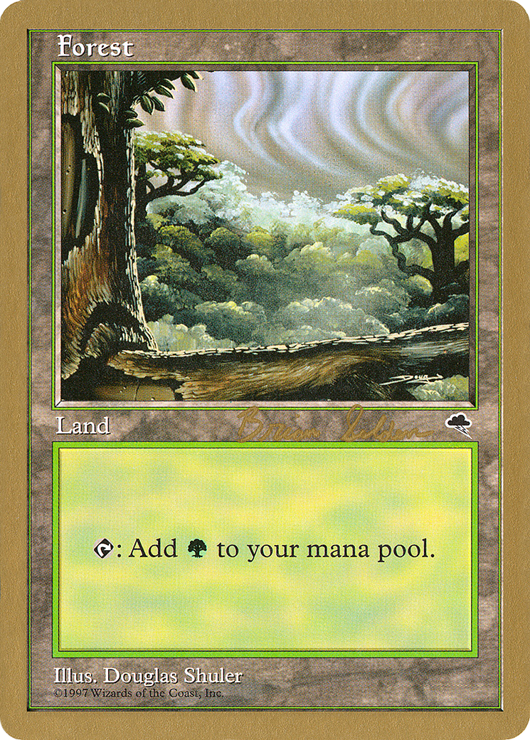 Forest (WC98-BS349) - World Championship Decks 1998 - Premium MTG Single from Wizards of the Coast - Just $0.23! Shop now at Game Crave Tournament Store