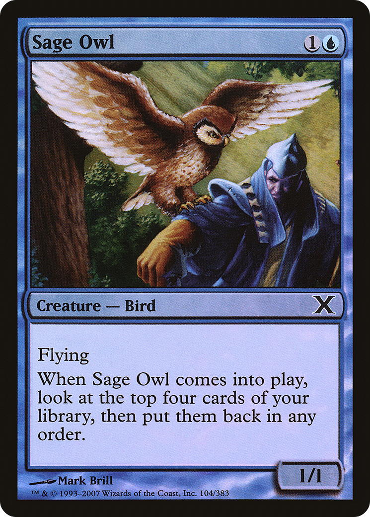 Sage Owl (10E-104★) - Tenth Edition Foil - Premium MTG Single from Wizards of the Coast - Just $0.12! Shop now at Game Crave Tournament Store