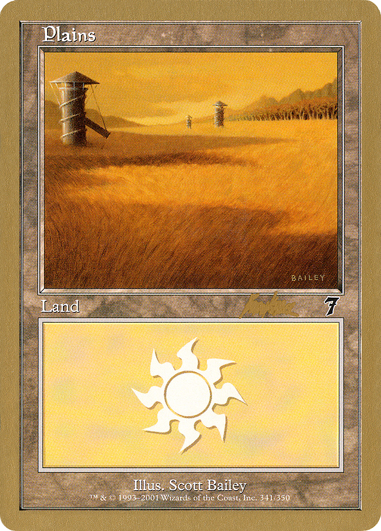 Plains (WC02-BK341) - World Championship Decks 2002 - Premium MTG Single from Wizards of the Coast - Just $0.96! Shop now at Game Crave Tournament Store