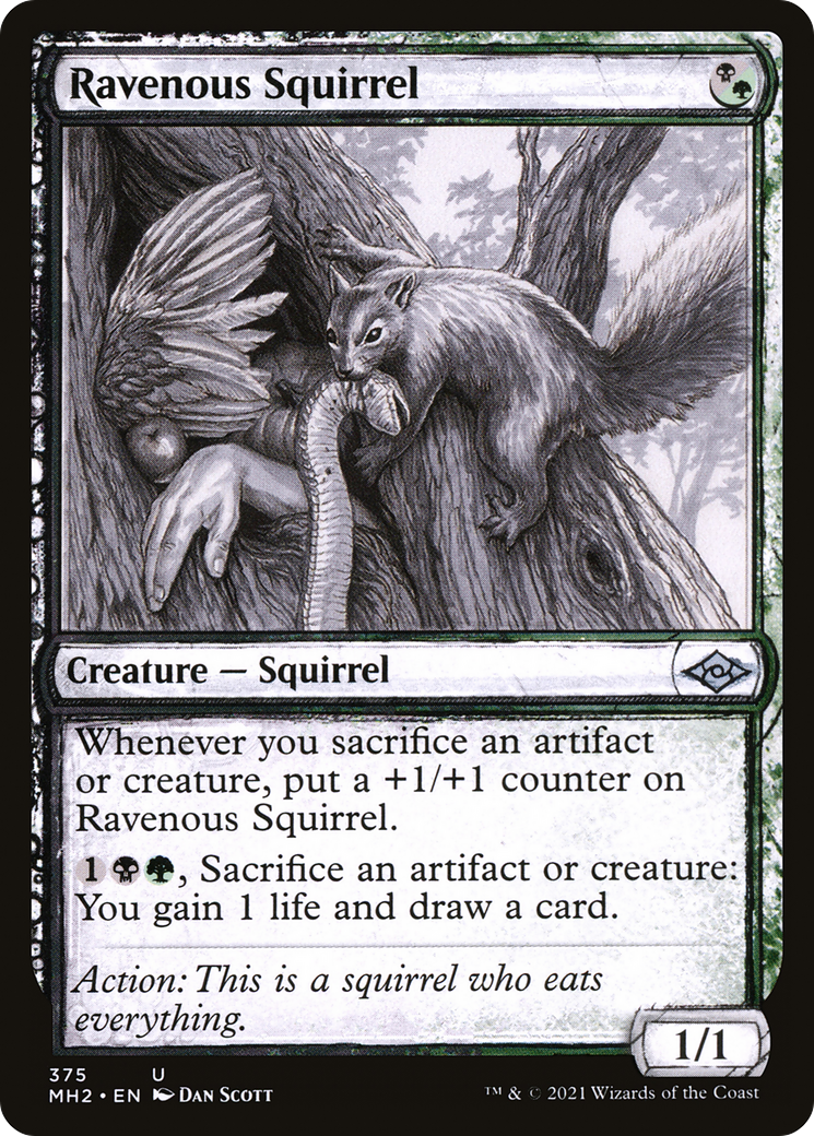 Ravenous Squirrel (MH2-375) - Modern Horizons 2: (Showcase) - Premium MTG Single from Wizards of the Coast - Just $0.08! Shop now at Game Crave Tournament Store