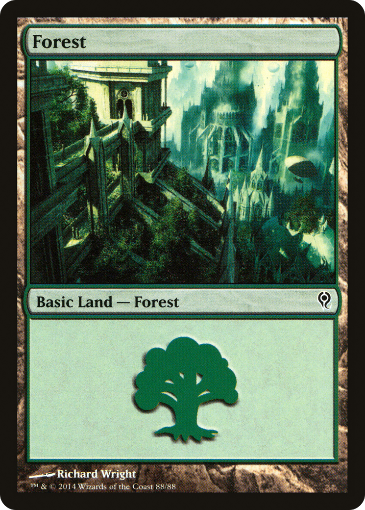 Forest (DDM-088) - Duel Decks: Jace vs. Vraska - Premium MTG Single from Wizards of the Coast - Just $0.25! Shop now at Game Crave Tournament Store