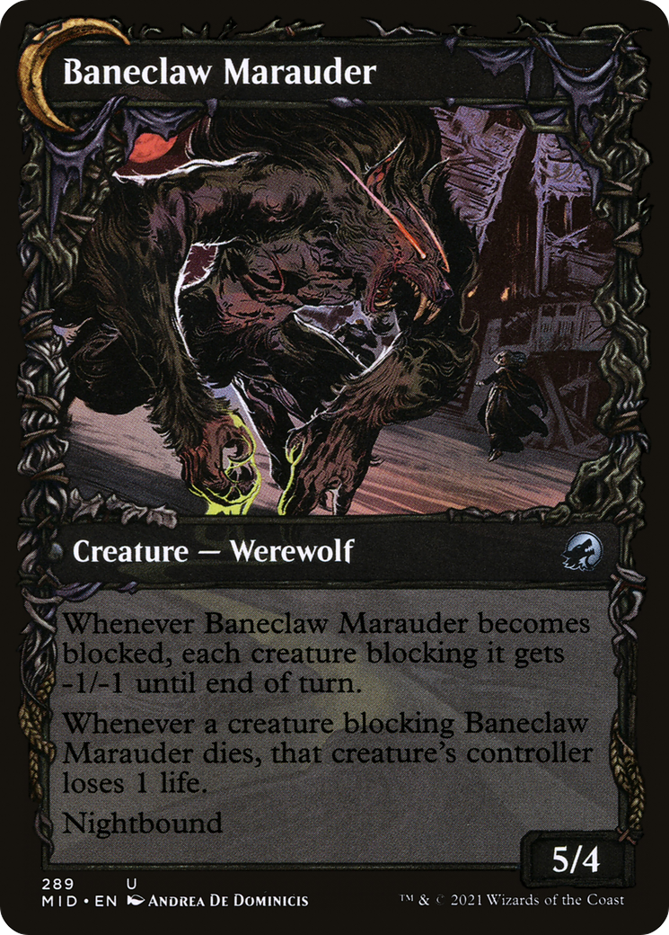 Baneblade Scoundrel // Baneclaw Marauder (MID-289) - Innistrad: Midnight Hunt: (Showcase, Double Faced Transform) Foil - Premium MTG Single from Wizards of the Coast - Just $0.08! Shop now at Game Crave Tournament Store
