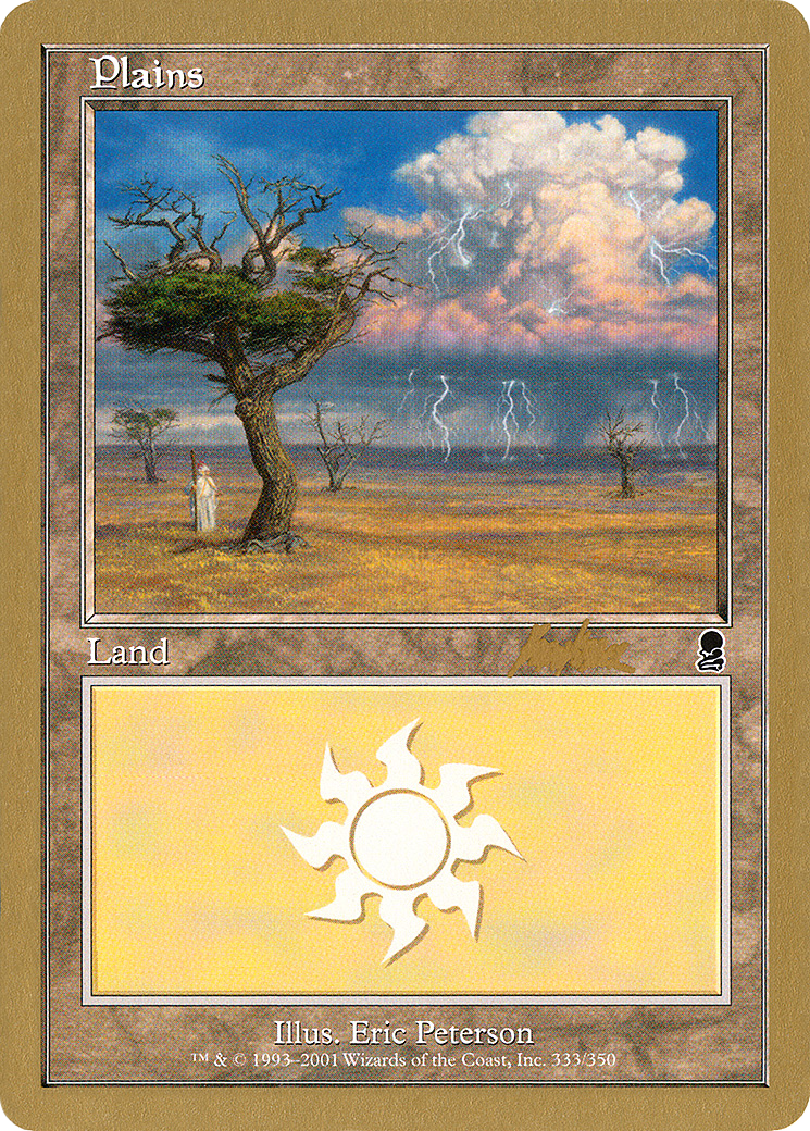 Plains (WC02-BK333) - World Championship Decks 2002 - Premium MTG Single from Wizards of the Coast - Just $1.20! Shop now at Game Crave Tournament Store