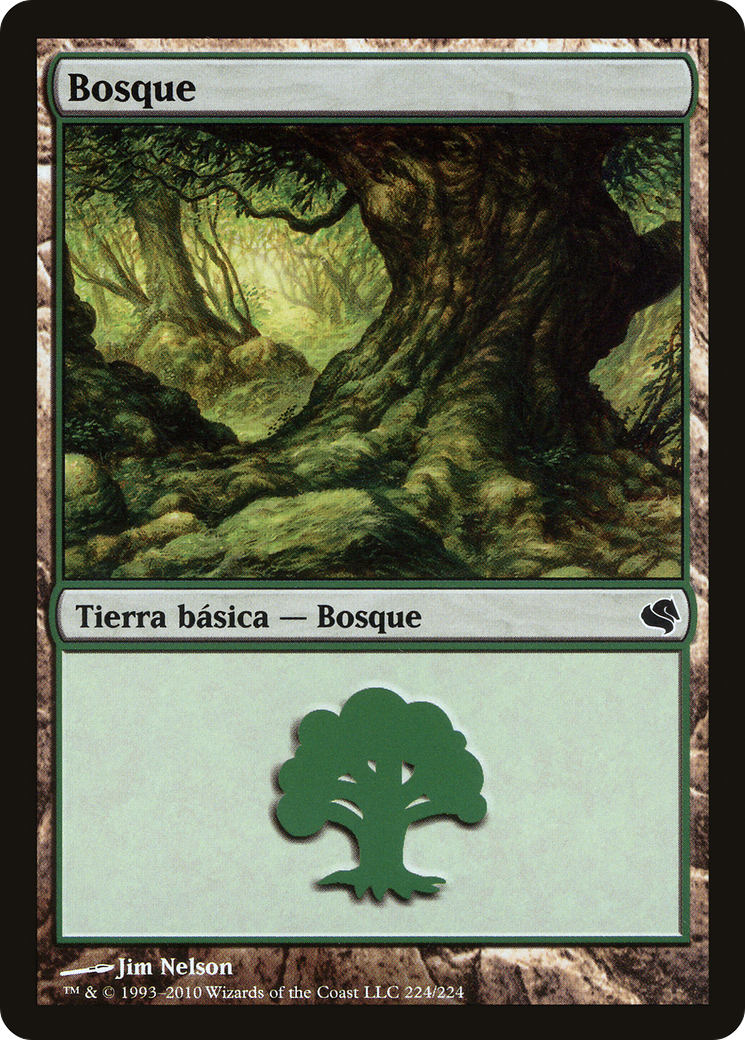 Forest (PS11-224) - Salvat 2011 - Premium MTG Single from Wizards of the Coast - Just $1.20! Shop now at Game Crave Tournament Store