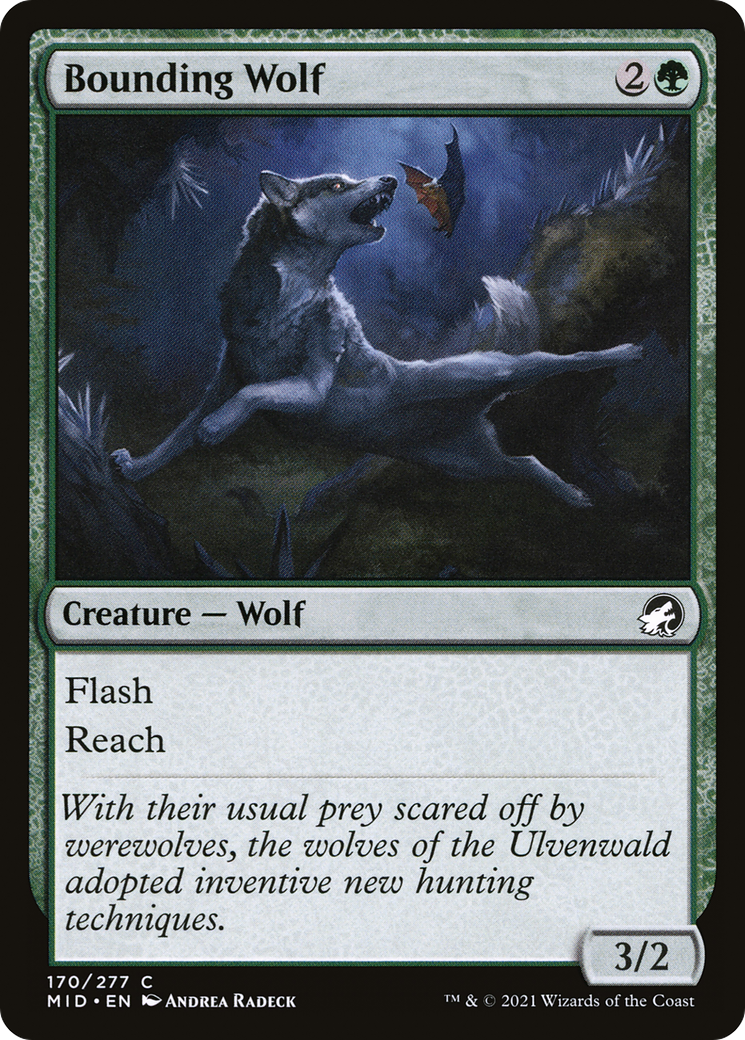 Bounding Wolf (MID-170) - Innistrad: Midnight Hunt - Premium MTG Single from Wizards of the Coast - Just $0.25! Shop now at Game Crave Tournament Store