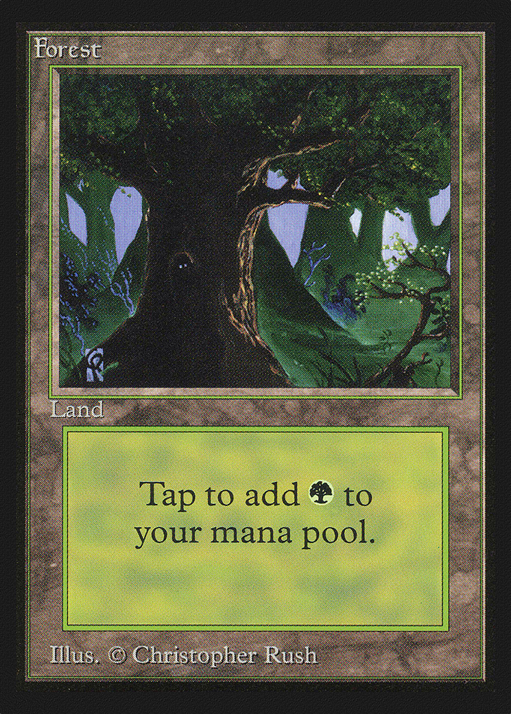 Forest (CEI-302) - Intl. Collectors' Edition - Premium MTG Single from Wizards of the Coast - Just $0.77! Shop now at Game Crave Tournament Store