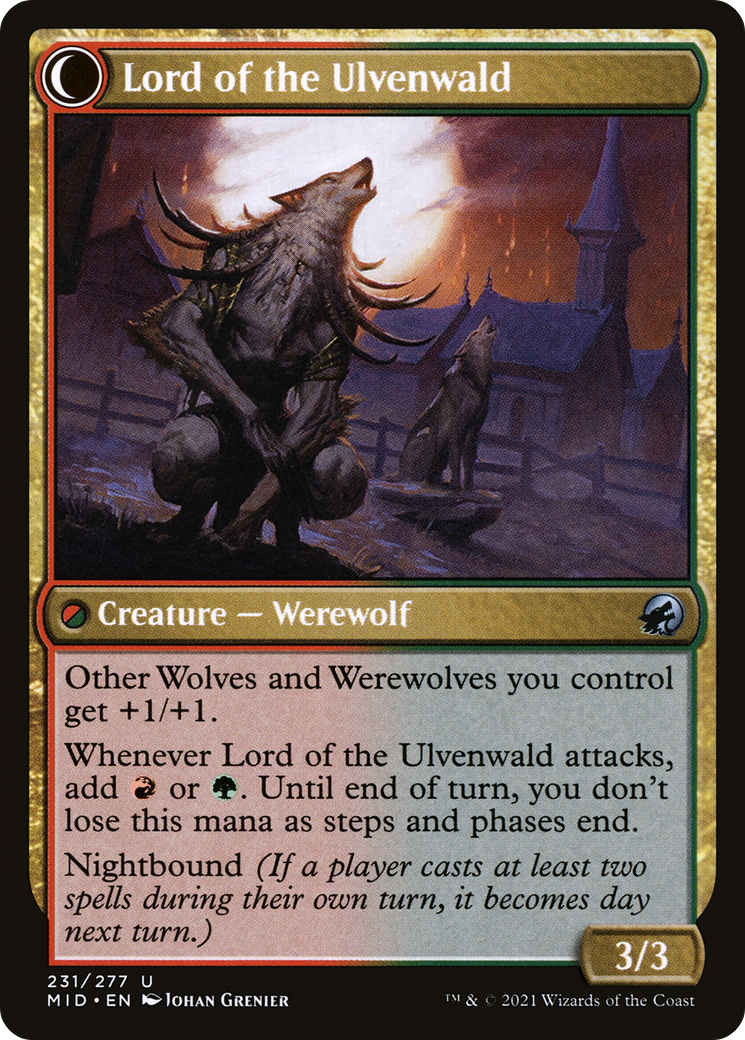 Kessig Naturalist // Lord of the Ulvenwald (MID-231) - Innistrad: Midnight Hunt: (Double Faced Transform) Foil - Premium MTG Single from Wizards of the Coast - Just $0.08! Shop now at Game Crave Tournament Store