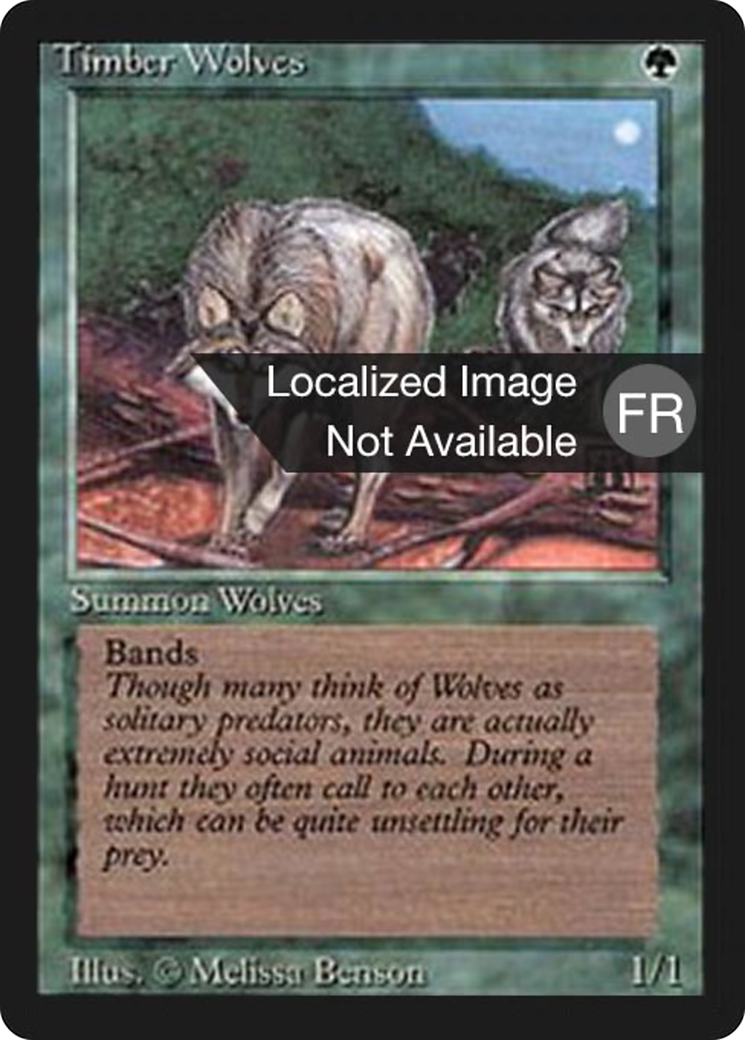 Timber Wolves (FBB-219) - Foreign Black Border - Premium MTG Single from Wizards of the Coast - Just $0! Shop now at Game Crave Tournament Store