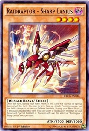 Raidraptor - Sharp Lanius (CROS-EN016) - Crossed Souls 1st Edition - Premium Yugioh Single from Konami - Just $0.25! Shop now at Game Crave Tournament Store