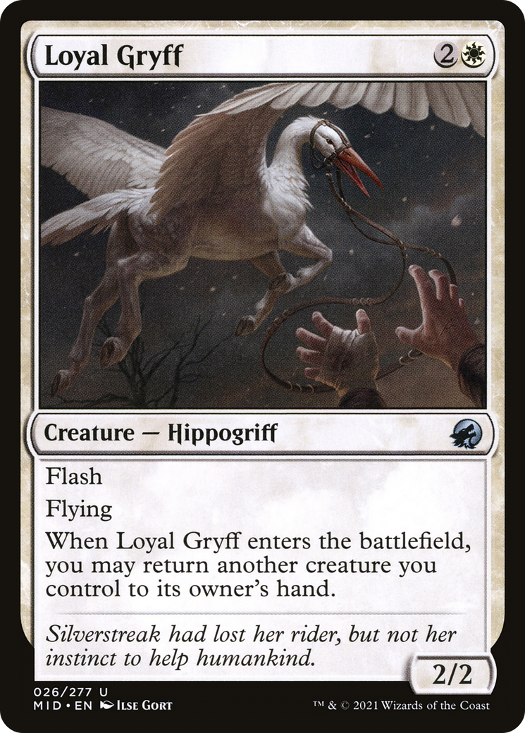 Loyal Gryff (MID-026) - Innistrad: Midnight Hunt - Premium MTG Single from Wizards of the Coast - Just $0.25! Shop now at Game Crave Tournament Store