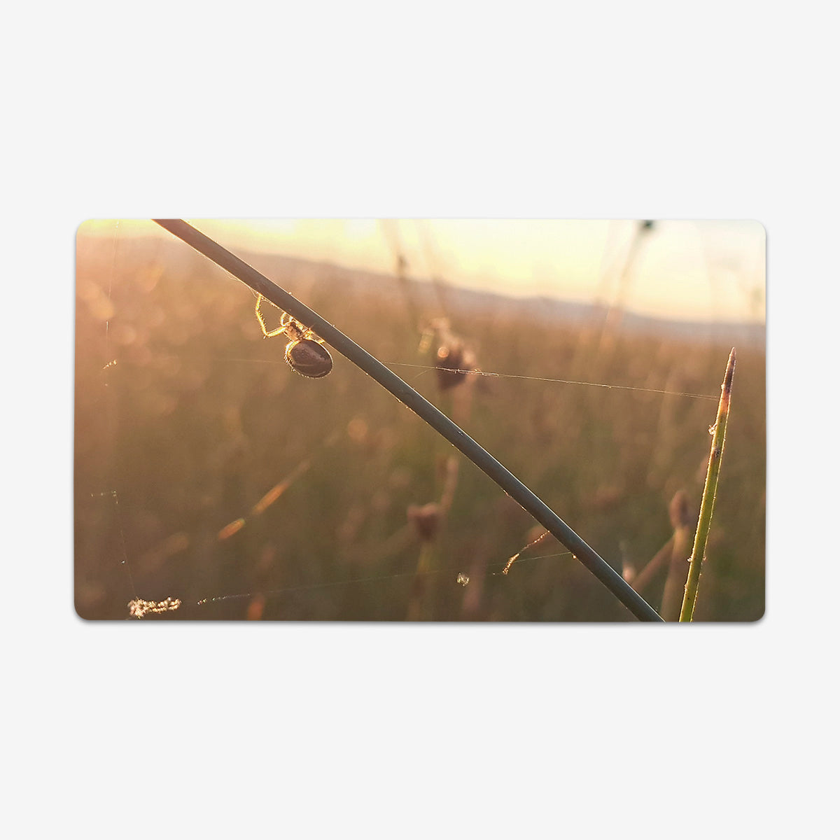 Spiderday Playmat - Premium Playmat from Inked Gaming - Just $34.99! Shop now at Game Crave Tournament Store