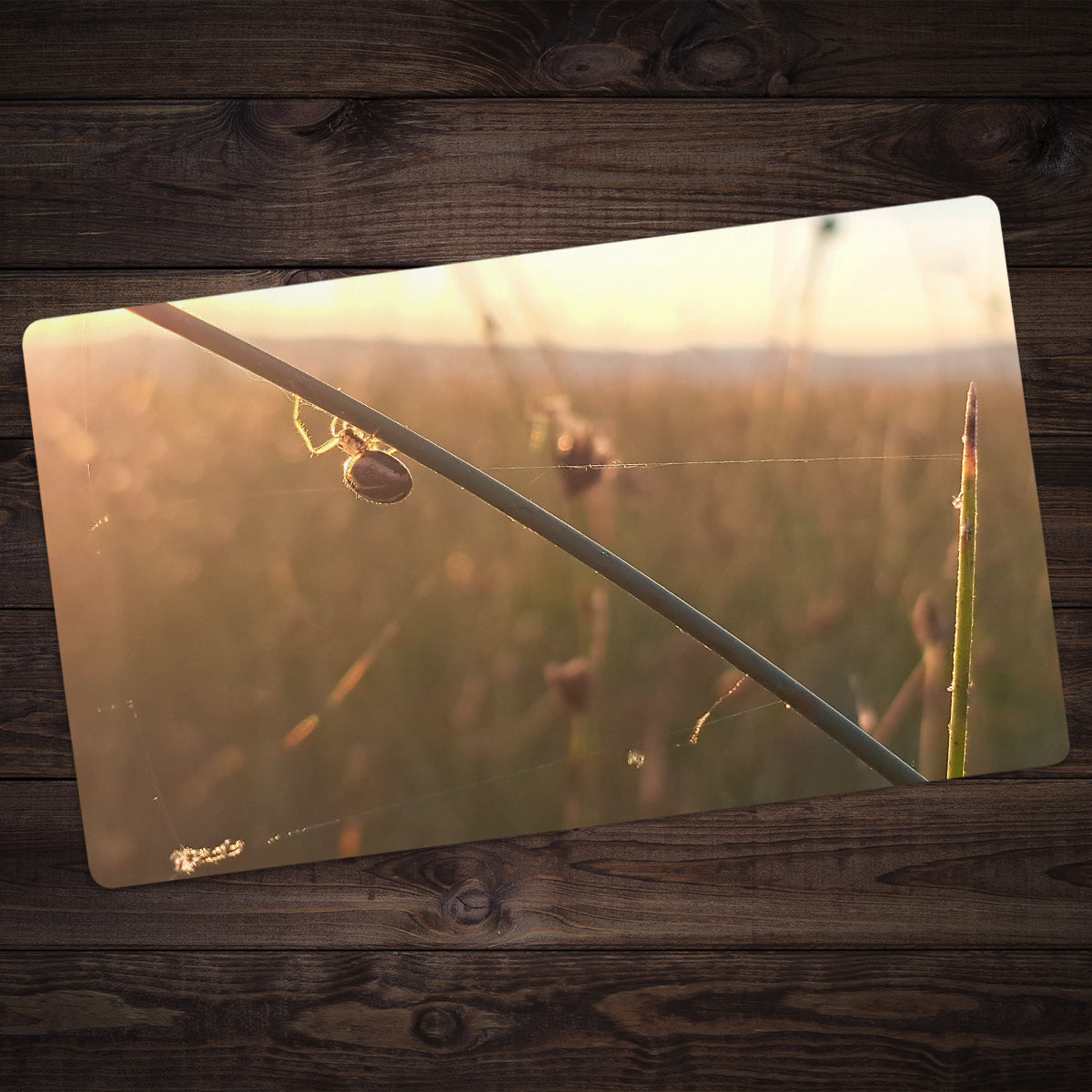 Spiderday Playmat - Premium Playmat from Inked Gaming - Just $34.99! Shop now at Game Crave Tournament Store