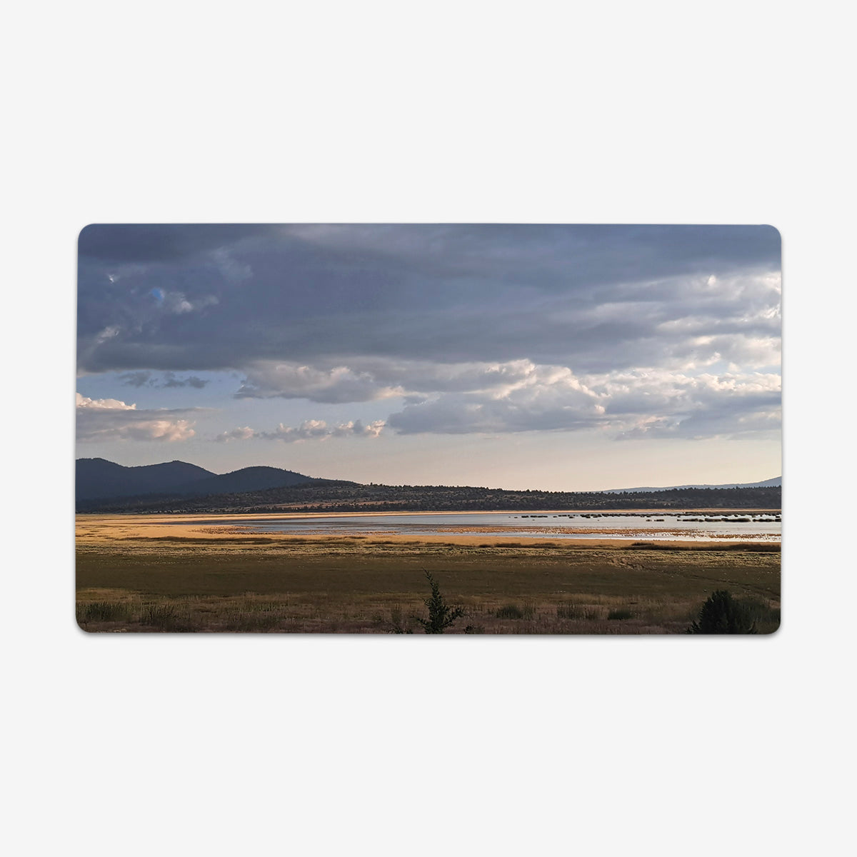 Yellow Plains Playmat - Premium Playmat from Inked Gaming - Just $34.99! Shop now at Game Crave Tournament Store