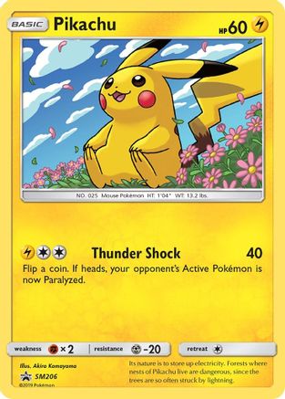 Pikachu SM206/248 - SM Black Star Promos Holofoil