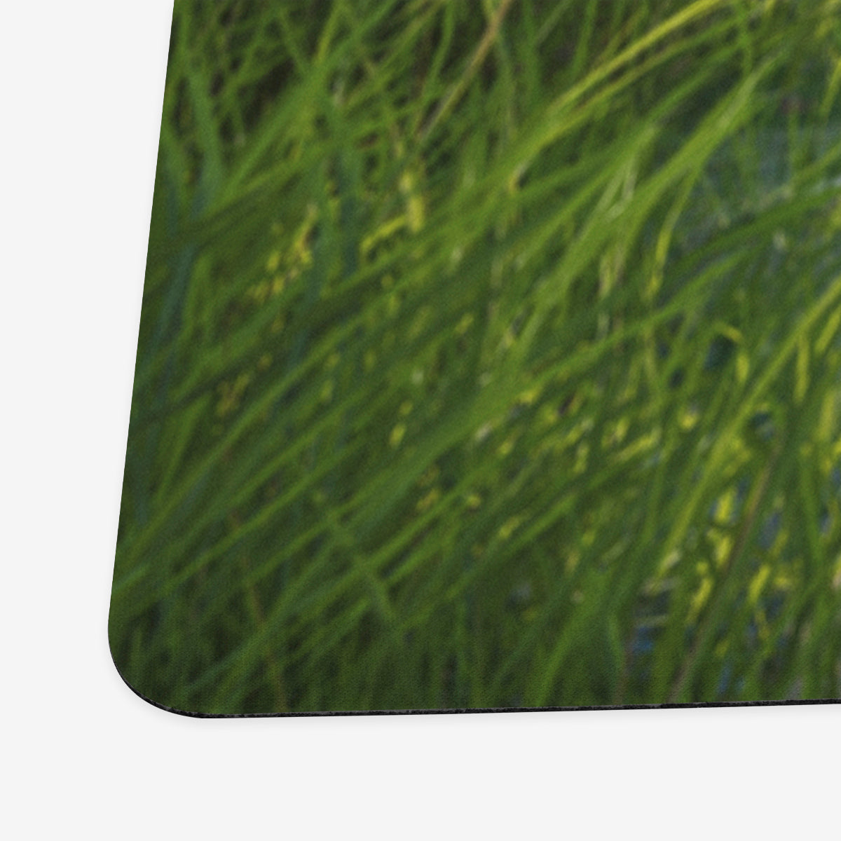 Wild Magic Playmat - Premium Playmat from Inked Gaming - Just $34.99! Shop now at Game Crave Tournament Store