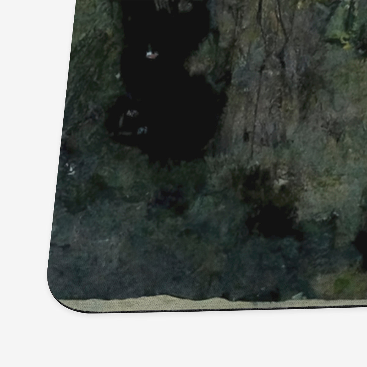 Verdant Swamp Playmat - Premium Playmat from Inked Gaming - Just $34.99! Shop now at Game Crave Tournament Store