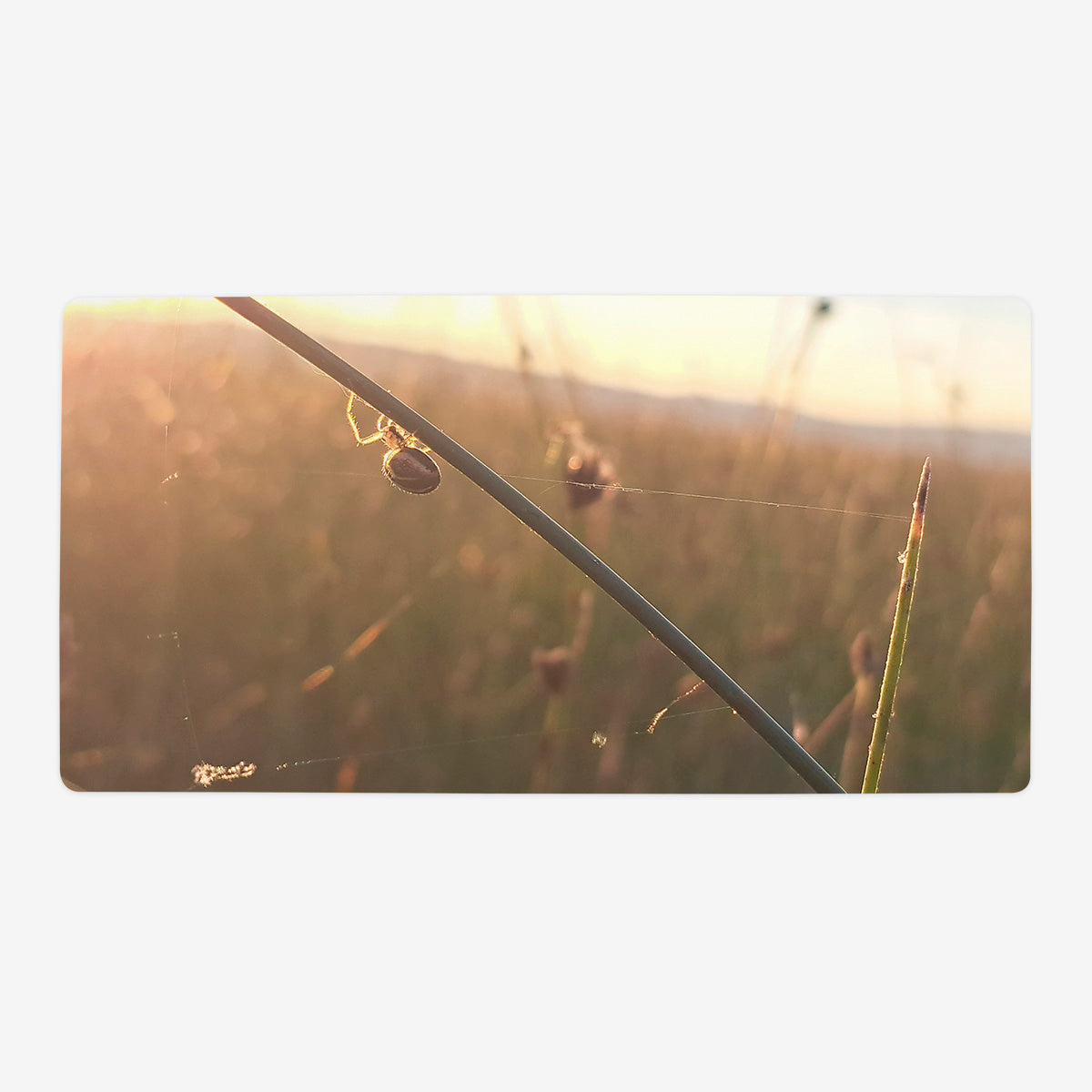 Spiderday Playmat - Premium Playmat from Inked Gaming - Just $34.99! Shop now at Game Crave Tournament Store
