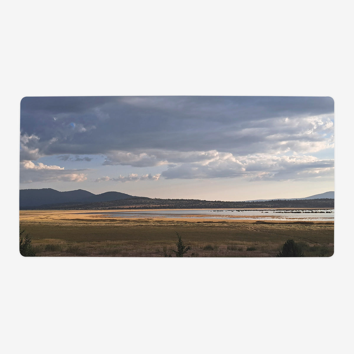 Yellow Plains Playmat - Premium Playmat from Inked Gaming - Just $34.99! Shop now at Game Crave Tournament Store