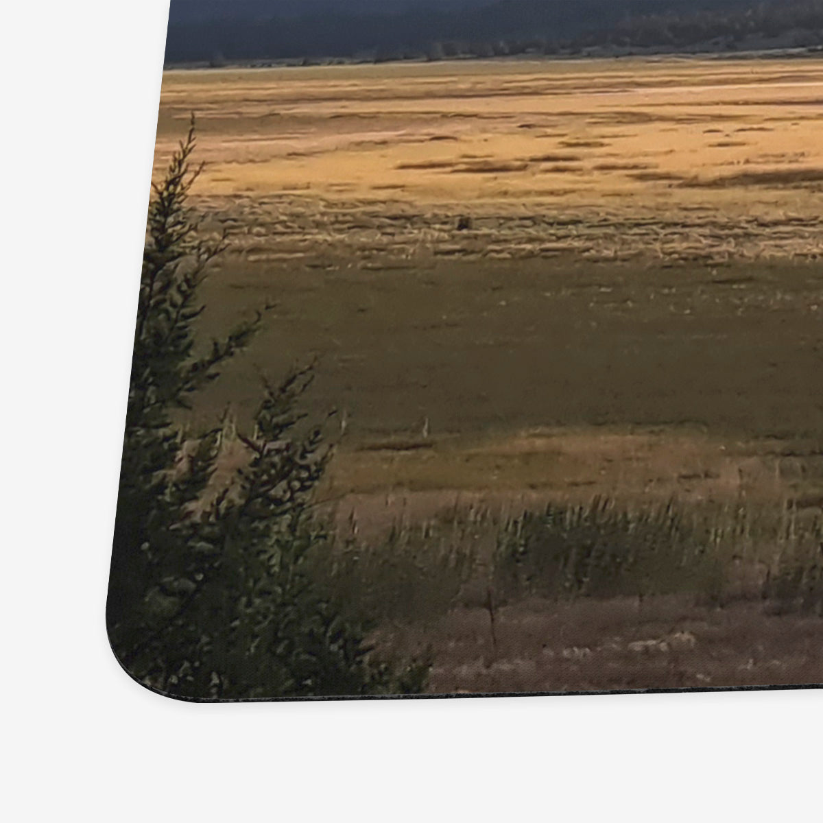 Yellow Plains Playmat - Premium Playmat from Inked Gaming - Just $34.99! Shop now at Game Crave Tournament Store