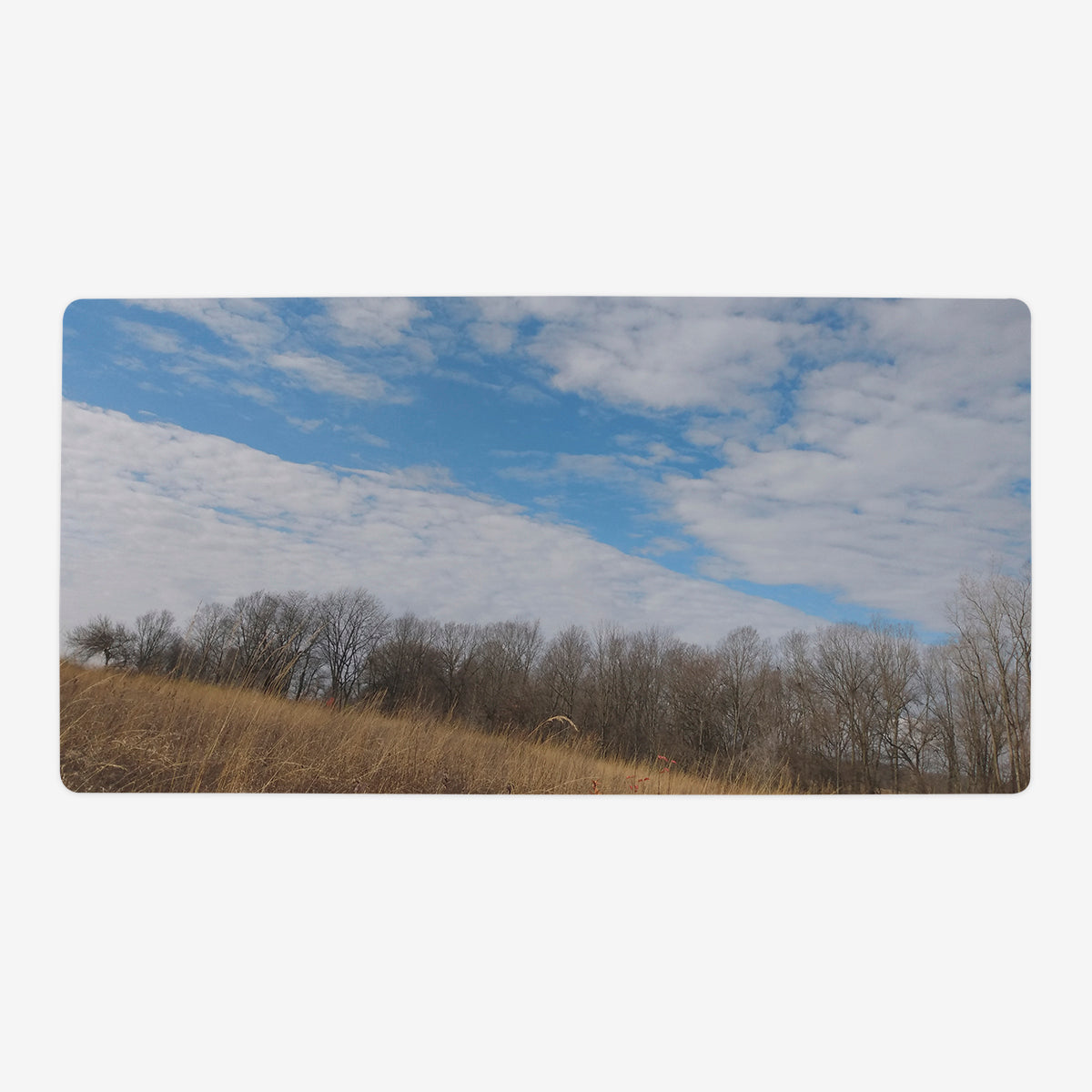 Sky Plains Playmat - Premium Playmat from Inked Gaming - Just $34.99! Shop now at Game Crave Tournament Store