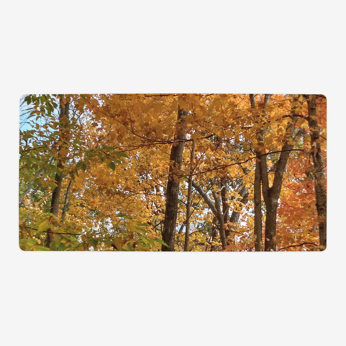 Spectrum of Seasons Playmat - Premium Playmat from Inked Gaming - Just $34.99! Shop now at Game Crave Tournament Store