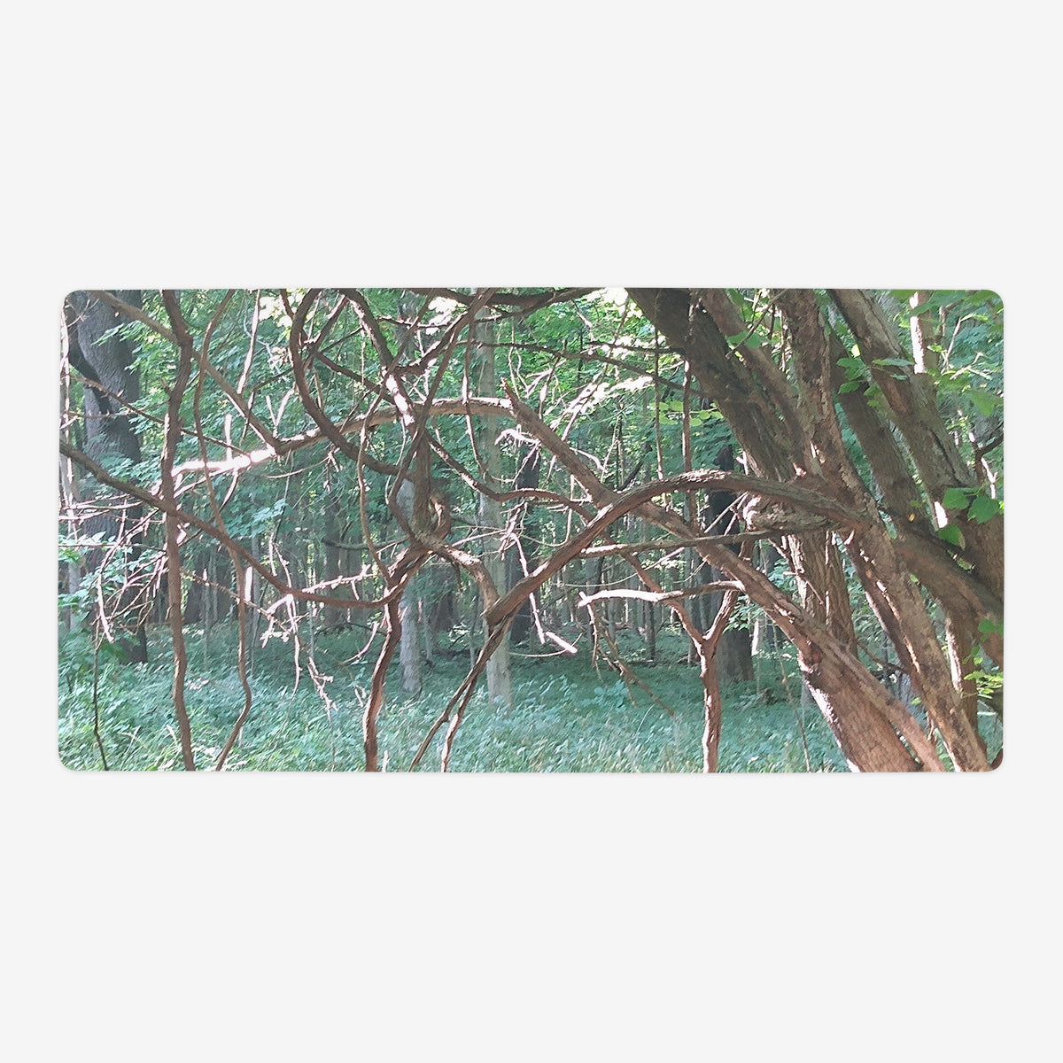 Sunlit Thorns Playmat - Premium Playmat from Inked Gaming - Just $34.99! Shop now at Game Crave Tournament Store