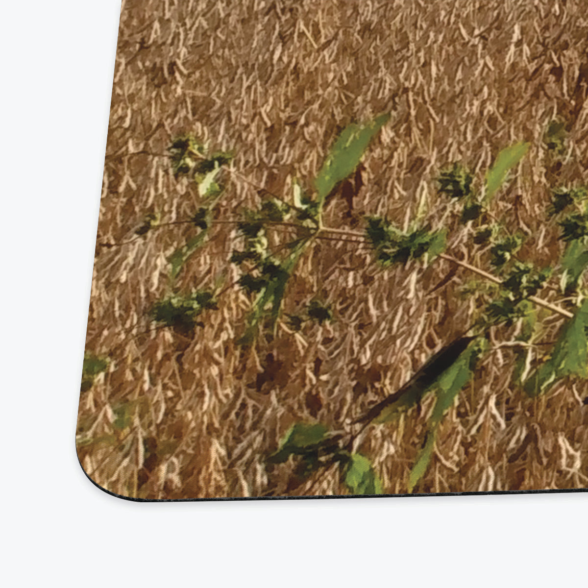Vast Yellow Plains Playmat - Premium Playmat from Inked Gaming - Just $34.99! Shop now at Game Crave Tournament Store