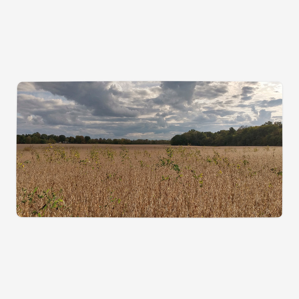 Vast Yellow Plains Playmat - Premium Playmat from Inked Gaming - Just $34.99! Shop now at Game Crave Tournament Store