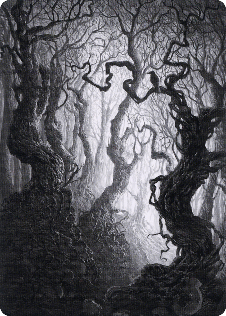 Forest // Forest (AMID-080) - Midnight Hunt Art Series (Borderless) - Premium MTG Single from Wizards of the Coast - Just $0! Shop now at Game Crave Tournament Store