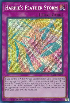 Harpie's Feather Storm (Secret Rare) (RA01-EN073) - 25th Anniversary Rarity Collection 1st Edition - Premium Yugioh Single from Konami - Just $0.75! Shop now at Game Crave Tournament Store