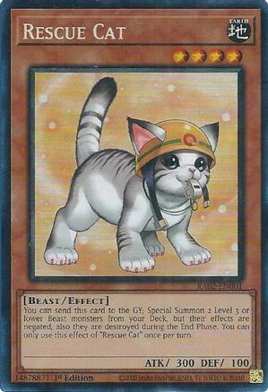 Rescue Cat (Alternate Art) (PCR) (RA02-EN001) - 25th Anniversary Rarity Collection II 1st Edition - Premium Yugioh Single from Konami - Just $0.30! Shop now at Game Crave Tournament Store