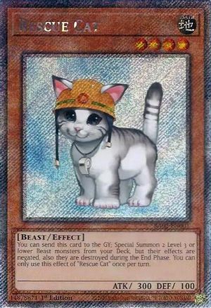 Rescue Cat (Platinum Secret Rare) (RA02-EN001) - 25th Anniversary Rarity Collection II 1st Edition - Premium Yugioh Single from Konami - Just $0.57! Shop now at Game Crave Tournament Store