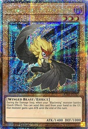 Blackwing - Kalut the Moon Shadow (Quarter Century Secret Rare) (RA03-EN217) - Quarter Century Bonanza 1st Edition - Premium Yugioh Single from Konami - Just $18.67! Shop now at Game Crave Tournament Store