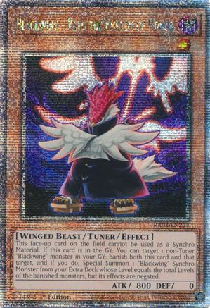 Blackwing - Vayu the Emblem of Honor (Quarter Century Secret Rare) (RA03-EN224) - Quarter Century Bonanza 1st Edition - Premium Yugioh Single from Konami - Just $17.70! Shop now at Game Crave Tournament Store