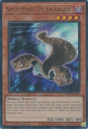 Splitting Planarian (MP25-EN263) - 2025 Mega-Pack 1st Edition