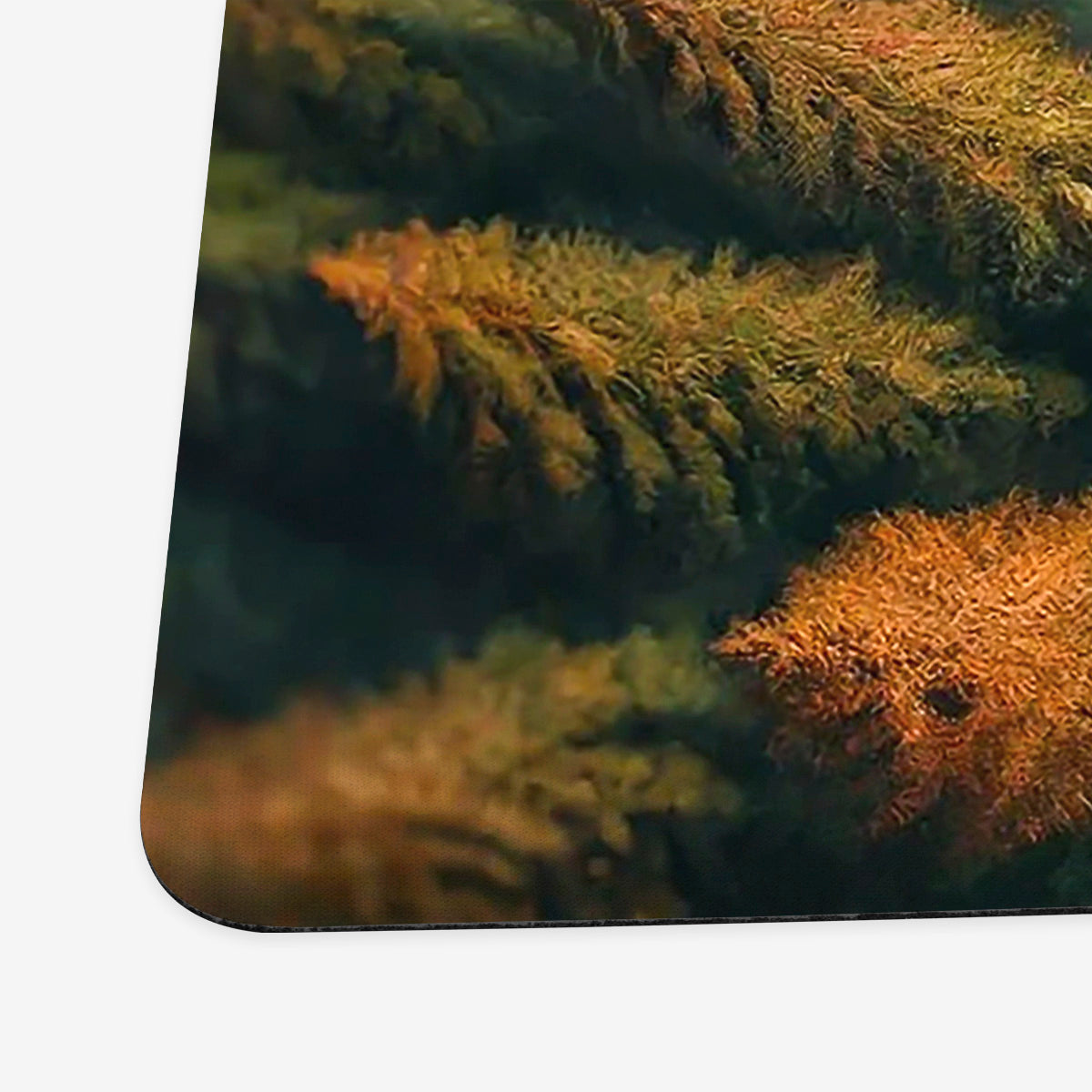 Treefolk From Sky Playmat - Premium Playmat from Inked Gaming - Just $34.99! Shop now at Game Crave Tournament Store